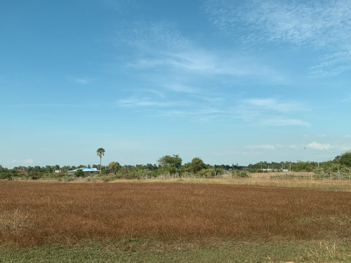 ដីលក់បន្ទាន់ តម្លៃក្រោមទីផ្សារ