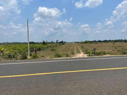 ដីលក់!​  ទីតាំងដី៖​ ស្រុករមាសហែក​ ស្វាយរៀង