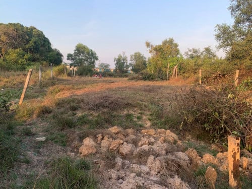 ដីលក់ក្រោយpalm container siem reap