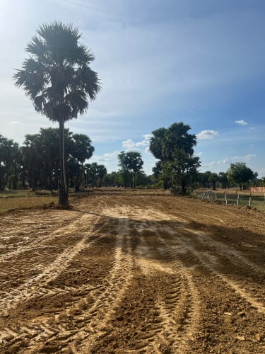 ដីខ្ញុំផ្ទាស់សម្រាប់លក់ 20 x 40