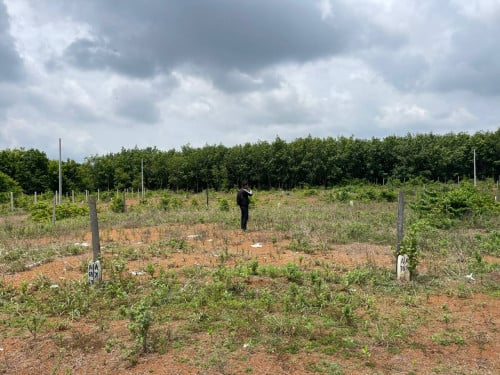 🏦Land for Urgent Sale (Negotiable), ABA Loan Available