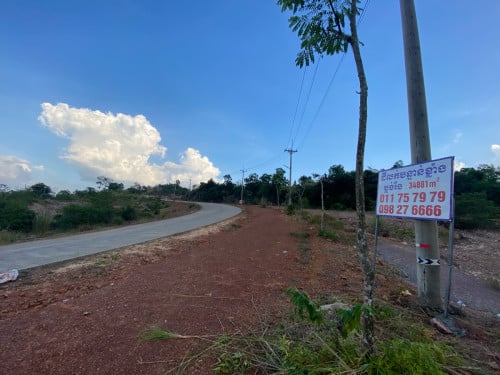 ដីលក់ក្រោមទីផ្សារ៥០%