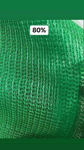 ស្បៃបាំងការដ្ឋាន safety net