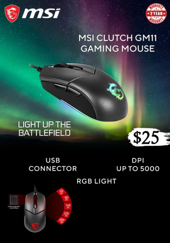 MSI Gaming Mouse