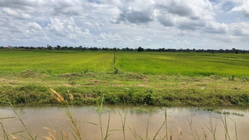 ដីភូមិ ឬអាជីវកម្ម ផ្ទះត្រចៀកាំ