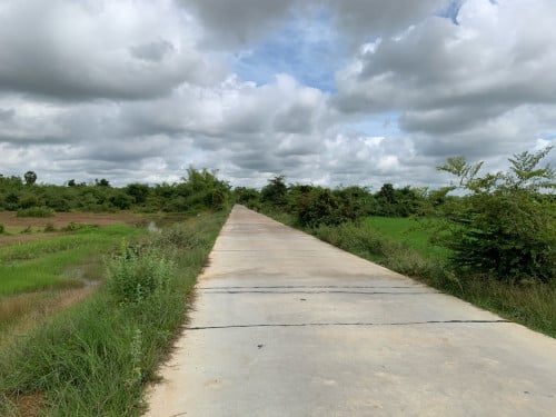 ដីអង្គស្នួល លើផ្លូវបេតុងរដ្ឋ លក់ប្រញាប់