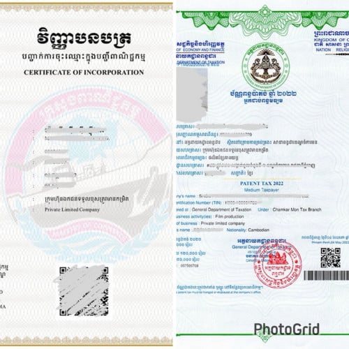 New Company registration, change information in other Ministries Service)