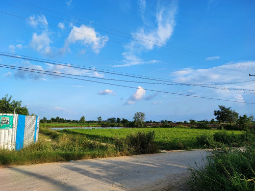 ដីលក់ភូមិដើមឬស