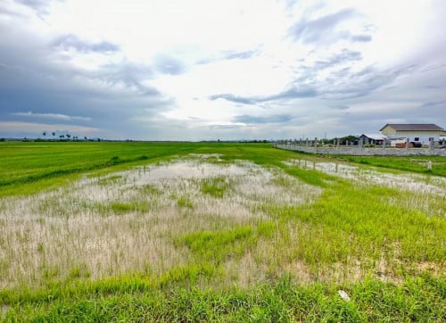 ដីលក់បន្ទាន់បងប្អូន💥នៅជិតទីរួមខេត្ត តាកែវ