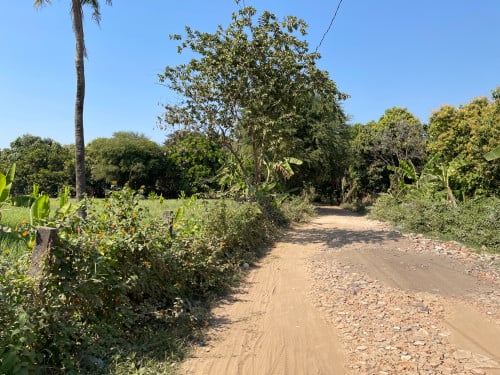 Land for Sale Along Mekong River