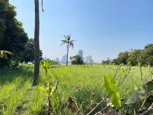 Land for Sale Along Mekong River
