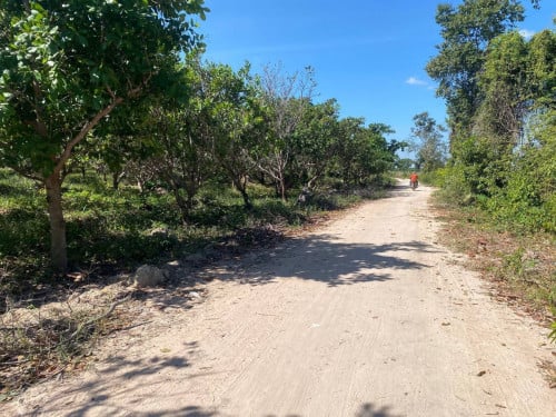 ដីលក់នៅឃុំត្បែងជេីងភ្នំគូលេខស្រុកបន្ទាយស្រីខេត្តសៀមរាប