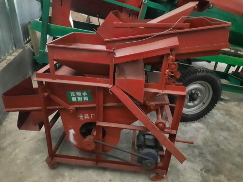 Peanuts harvesting and processing