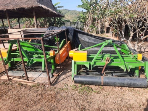 Peanuts harvesting and processing