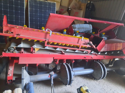 Peanuts harvesting and processing