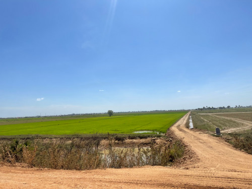 ដីកែងបន្ទាន់នៅបាធាយ