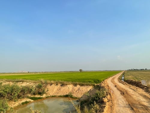 ដីកែងបន្ទាន់នៅបាធាយ
