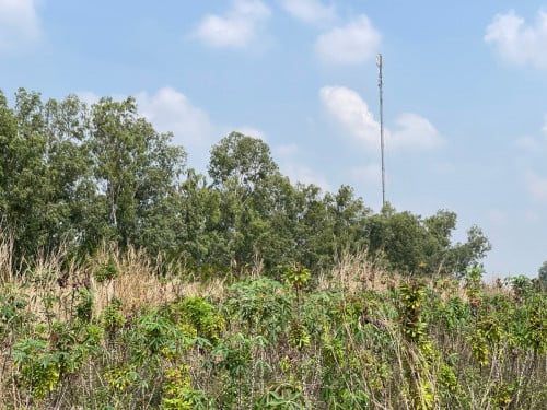 ដីលក់បន្ទាន់ ក្រុងប៉ោយប៉ែត