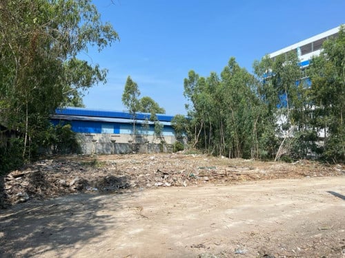 ដីលក់បន្ទាន់