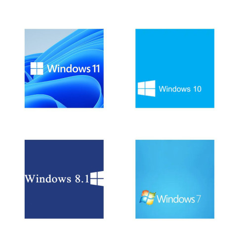 Windows 11/10 Pro Online Key Lifetime Activated \u2705
