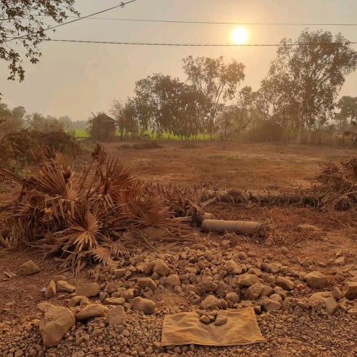 ដីលក់ប្រញាប់