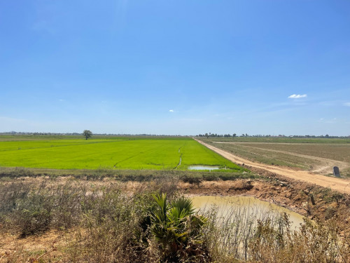 ដីកែង នៅបាធាយ