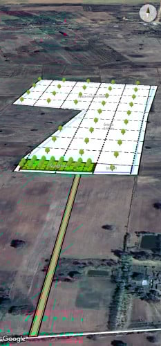 ដីលក់ប្លង់រឹង