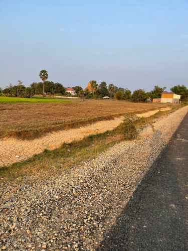 ដីលក់បន្ទាន់