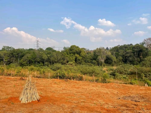 ដីលក់ មណ្ឌលគីរី ជាប់អូ