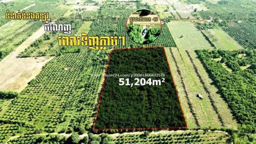 ដីកំពត