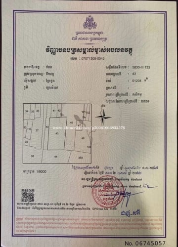 ដីកំពត