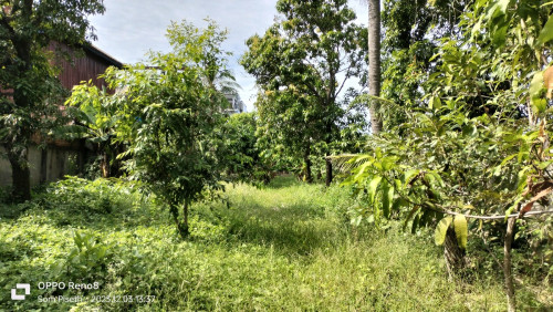 ដីលក់ បន្ទាន់ (តំលៃអាច ចរចារបាន ) Free កាត់ប្លង់រឹងឲទៀត