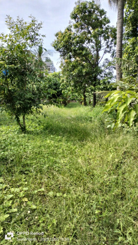 ដីលក់ បន្ទាន់ (តំលៃអាច ចរចារបាន ) Free កាត់ប្លង់រឹងឲទៀត