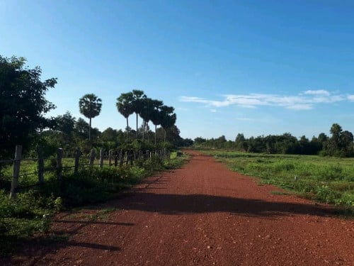 លក់ដីឡូតិ៍ ទីតាំងដីហួសភ្នំបាសិទ្ធ 2 គីឡូម៉ែត្រ ឃុំឈ្វៀង