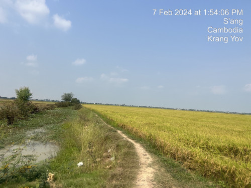 036: ដីក្រាំងយ៉ូវ 123x 48 ជិតដីគំរោងធំៗ