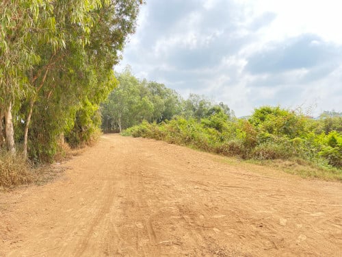 Land Investment for Sale Close to Techo International Airport