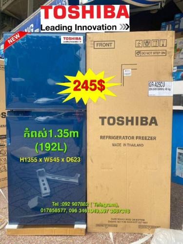 TOSHIBA GR-A25KS