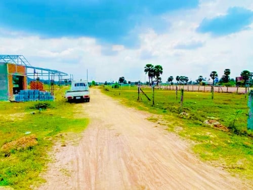 ដីបាសិត