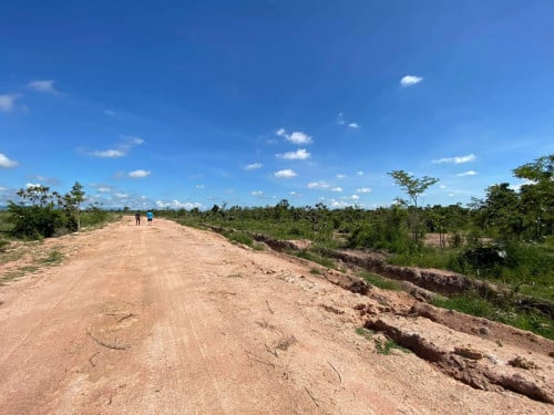 ដីសម្រាប់ធ្វើចំការលក់