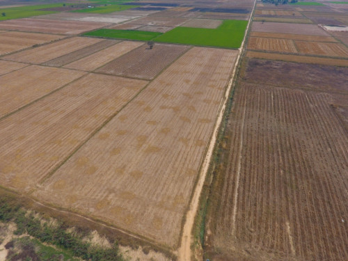 ដីកែង​១ហាត់​ ផ្លូវ៣