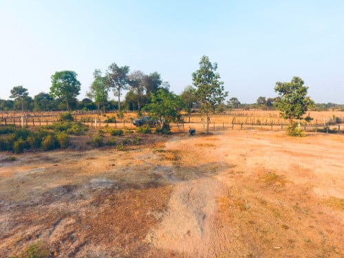 ដីកែងលក់ លង្វែក