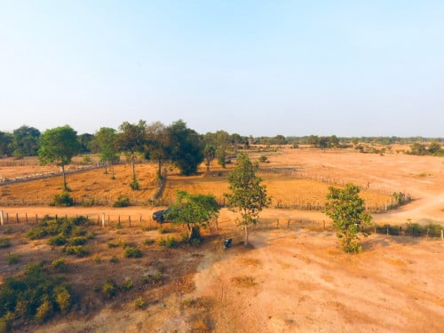 ដីកែងលក់ លង្វែក