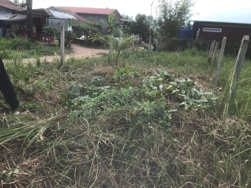 ដីលក់នៅភូមិ៣សង្កាត់លេខ១ក្រុងព្រះសីហនុ