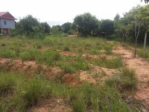 ដីលក់បន្ទាន់នៅនរាយណ៍ ឈូក កំពត