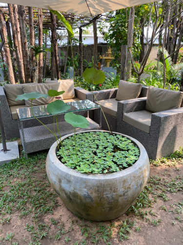 Garden Lounge