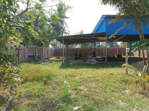 ដីជួល