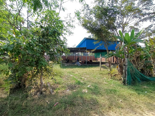 ដីជួល
