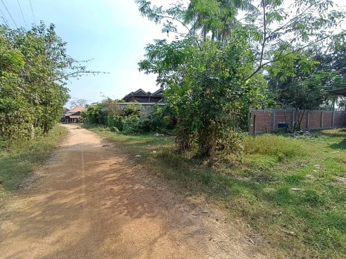 ដីជួល