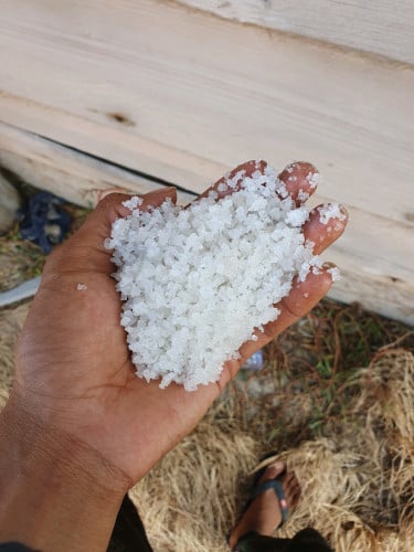 មានលក់អំបិលកំពត