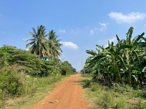 ដីឡូត៍លក់ 20x30